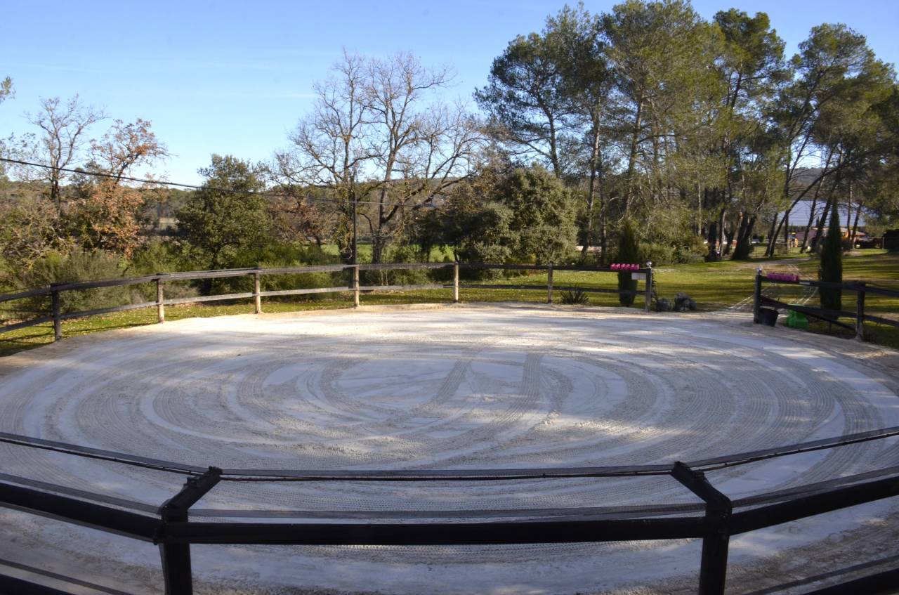 Haras La Colombiere - Pension - Elevage Pur-Sang Arabes