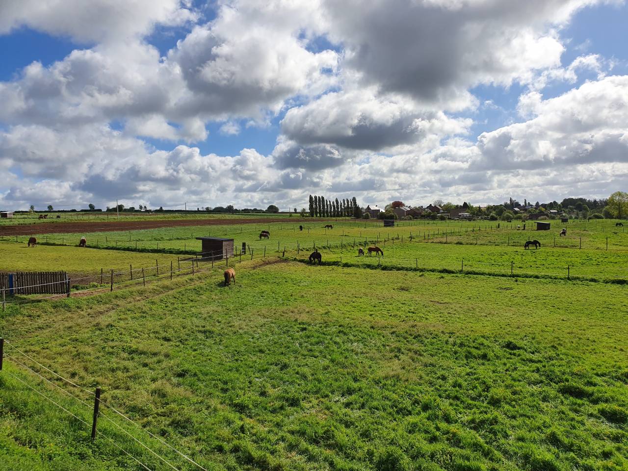 Pensions retraites, compl&egrave;tes et prairies.