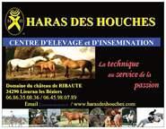 HARAS DES HOUCHES