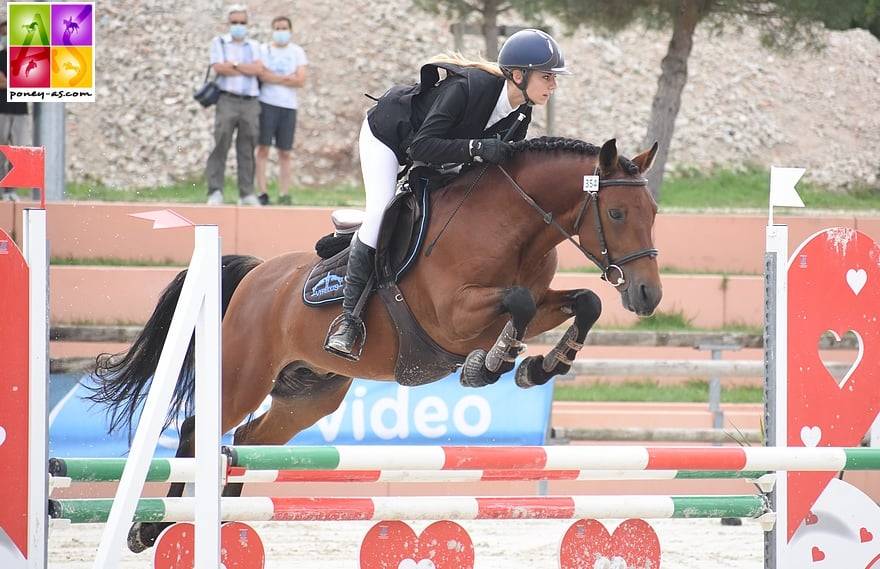 LEAO - Étalon New Forest