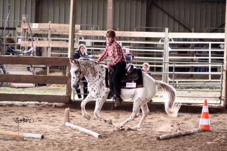 DOUBLE T FARM : centre équestre western et pensions 