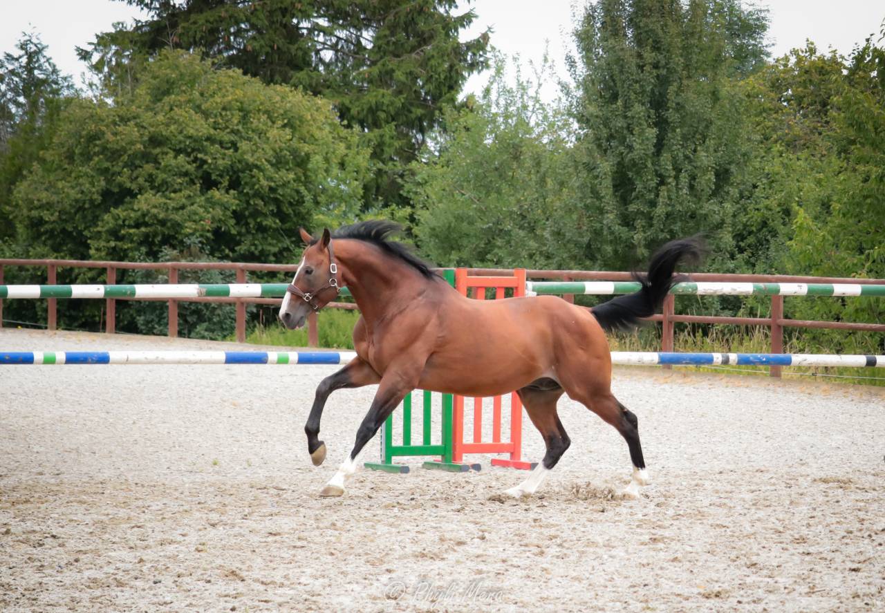 Uncognito bois margot 