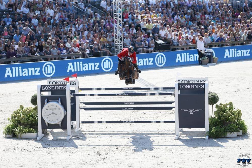 Comme Il Faut - Bai brun - 1M72 - Holsteiner