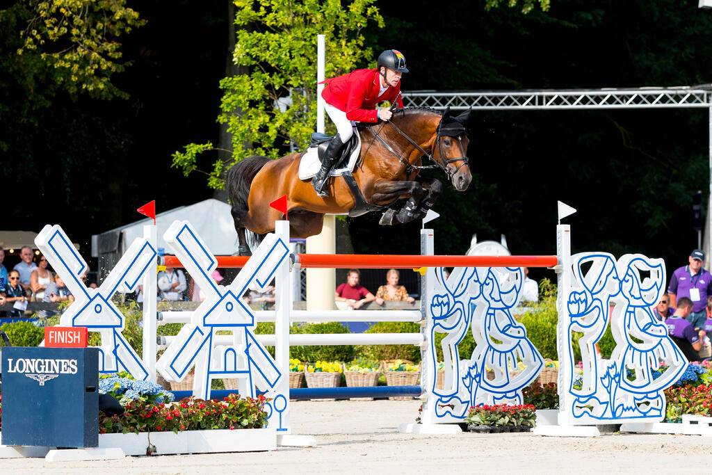 Comme Il Faut - Bai brun - 1M72 - Holsteiner