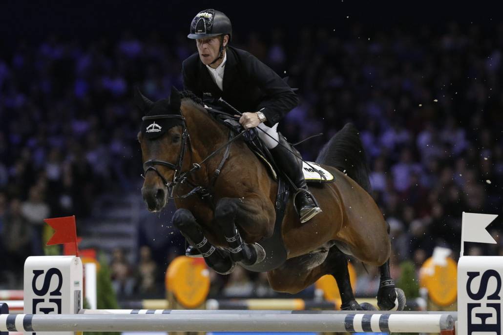 Comme Il Faut - Bai brun - 1M72 - Holsteiner