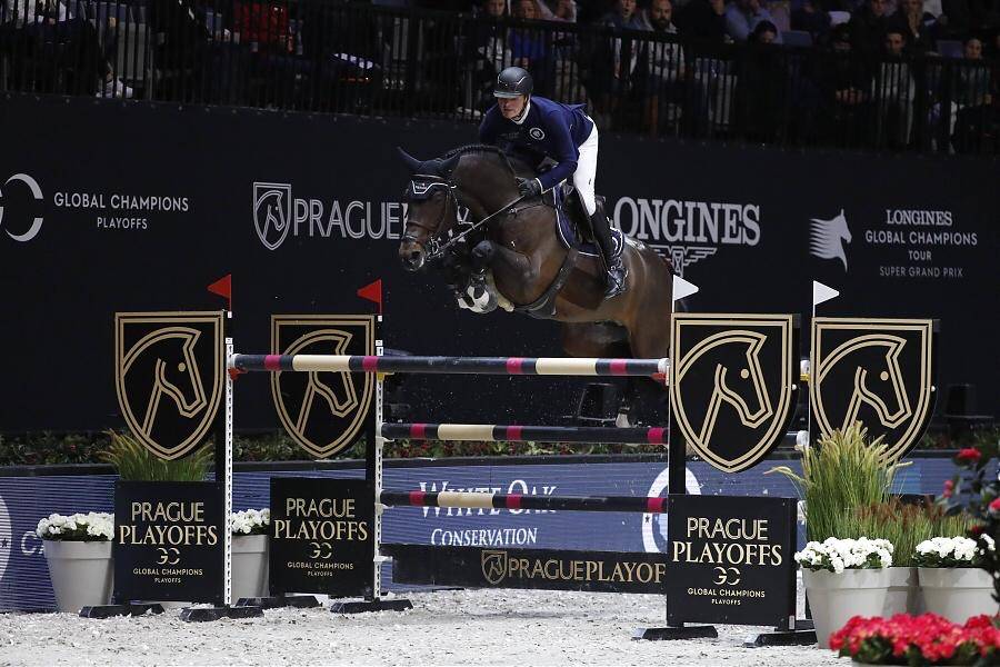 Don Diarado - 2009 - Bai - 1M70 - Rhein