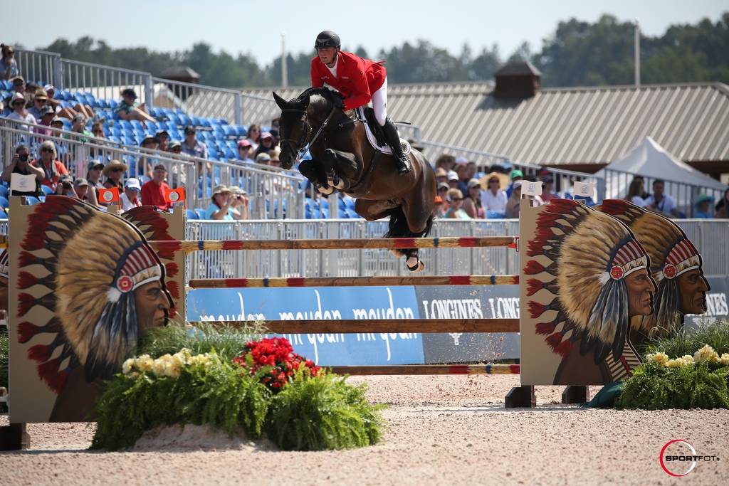 Don Diarado - 2009 - Bai - 1M70 - Rhein