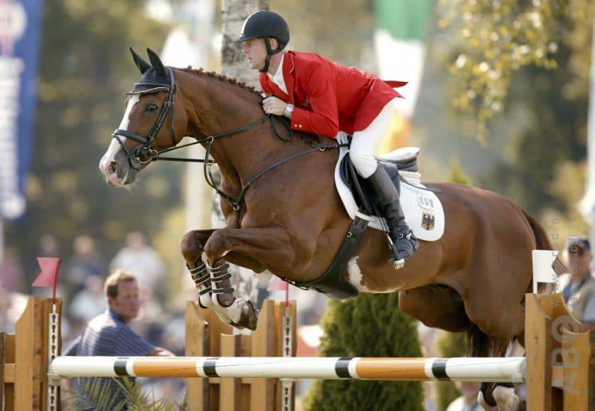 For Pleasure - Alezan - 1M67 - HANN