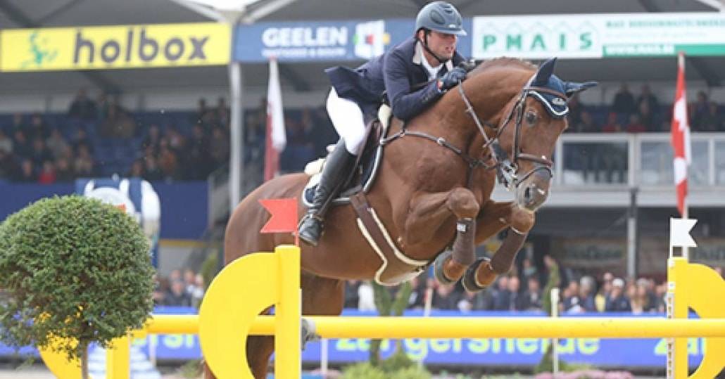 Gastronom de Hus - 1999 - Alezan - 1M71 - Zang