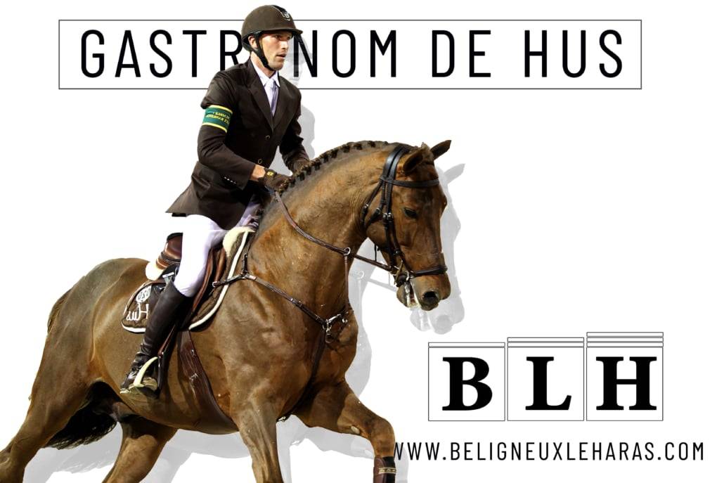 Gastronom de Hus - 1999 - Alezan - 1M71 - Zang