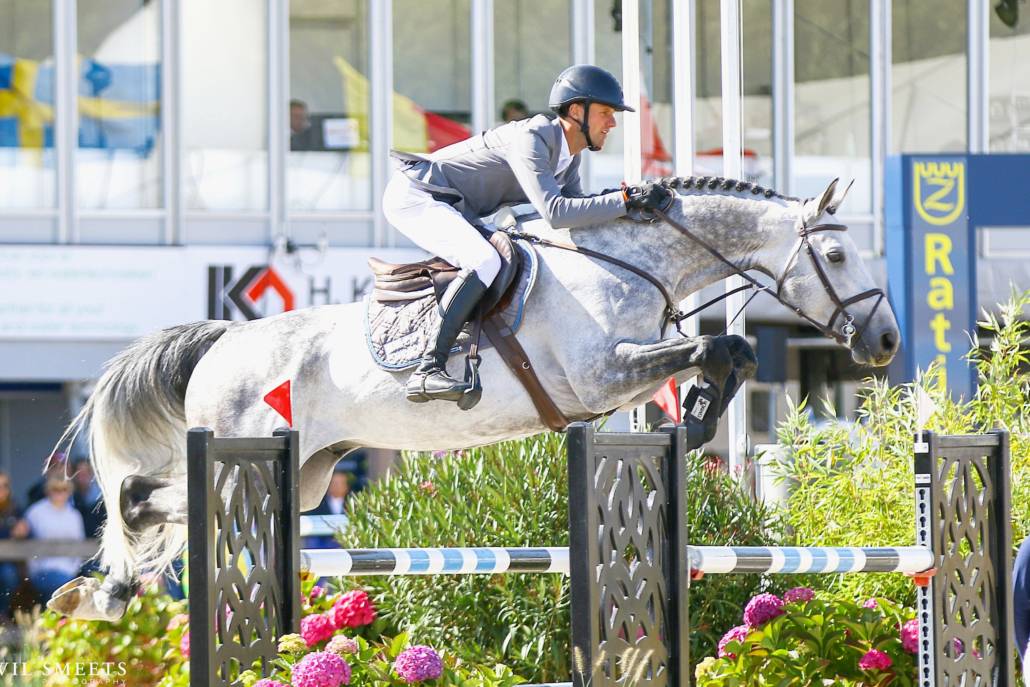 Mumbai - 2012 - 1M69 - BWP Cheval de Sang Belge