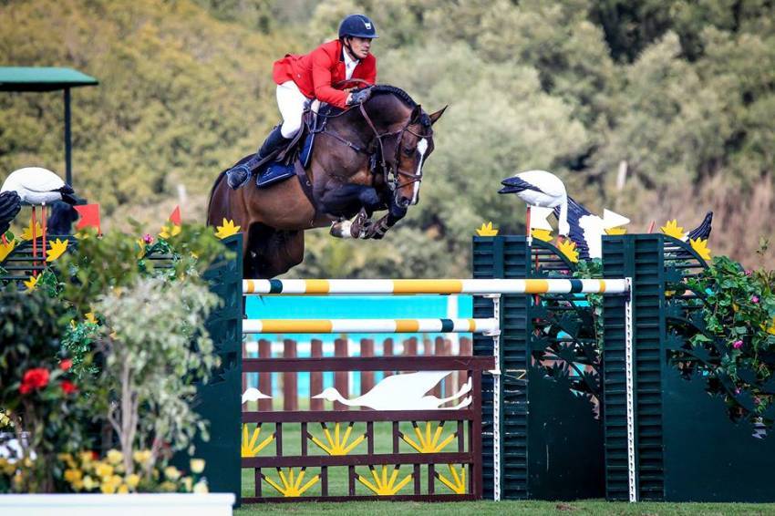 Quel Homme de Hus - 2006 - Bai - 1M66 - SF