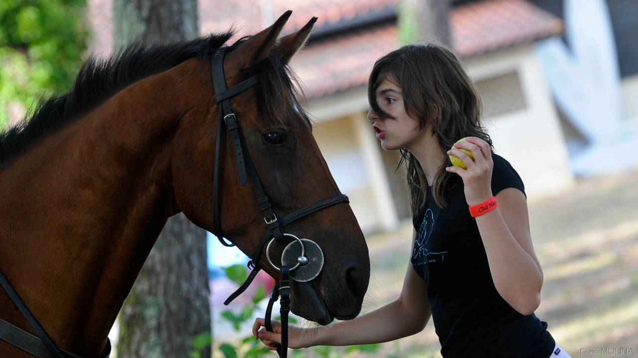 Stage ado Anglais - Cso et Cross - Landes
