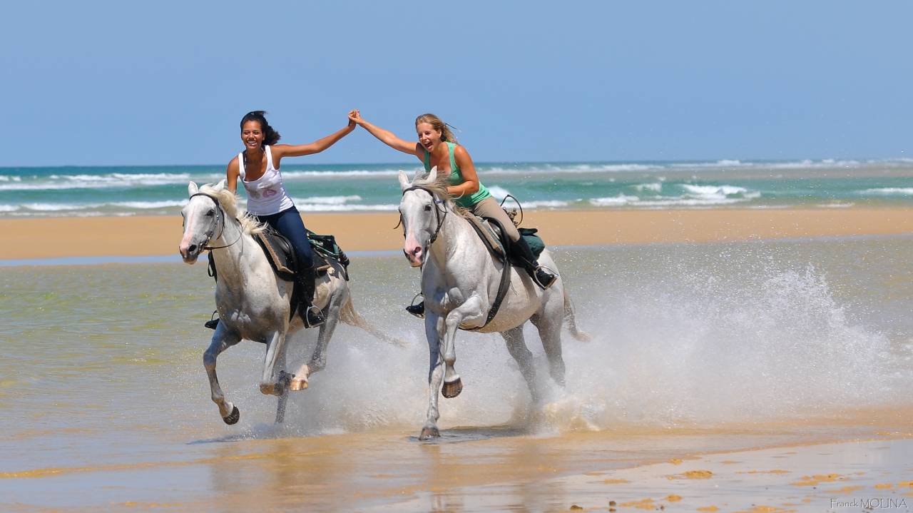 Stage ado Anglais - Cso et Cross - Landes