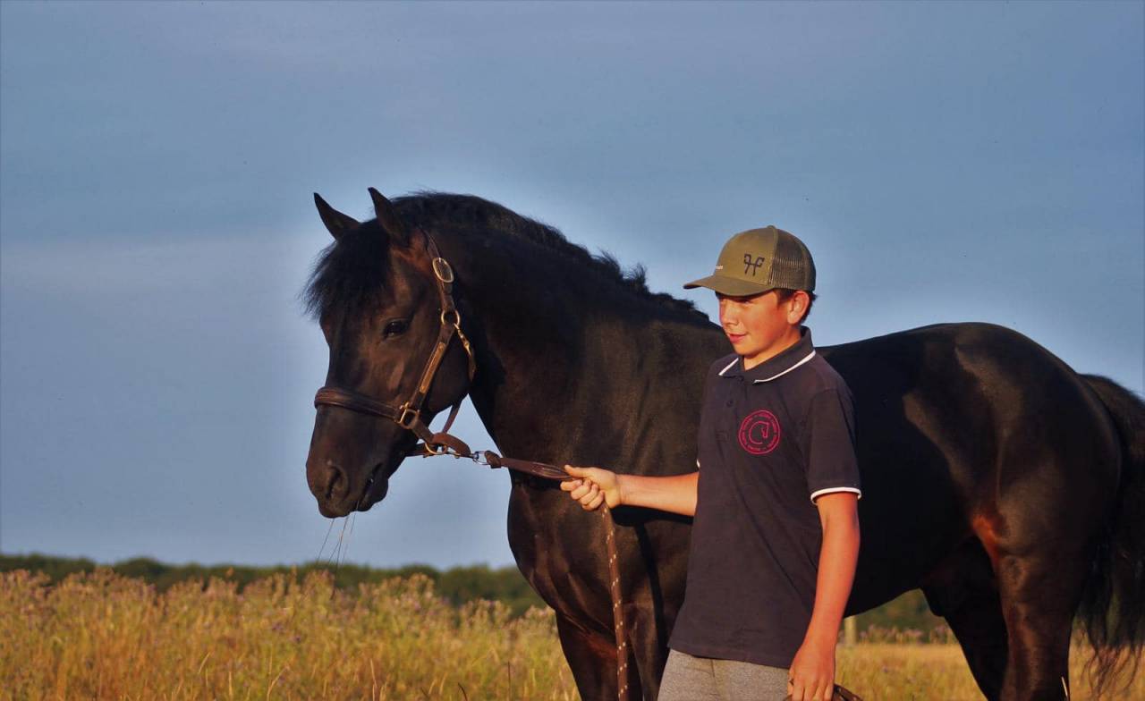 Lovelyhill Magical Height