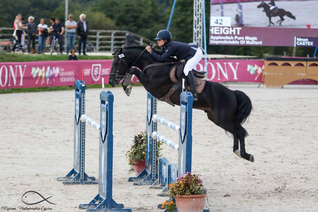 Lovelyhill Magical Height