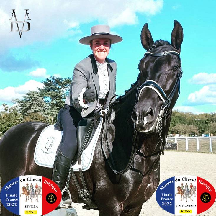 Etalon Pure Race Espagnole PRE Noir (saillie)