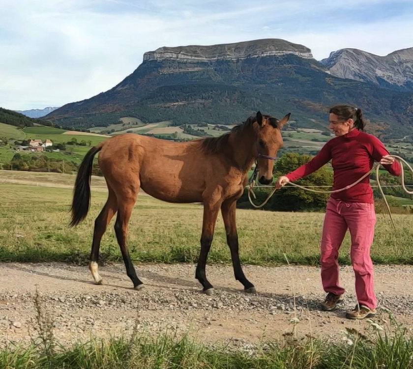 Jennet, ma gazelle des steppes turkmènes !