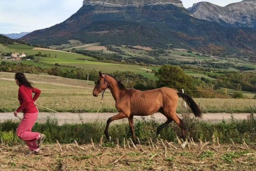 Jennet, ma gazelle des steppes turkmènes !