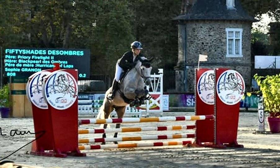 Étalon New Forest Exeptionel