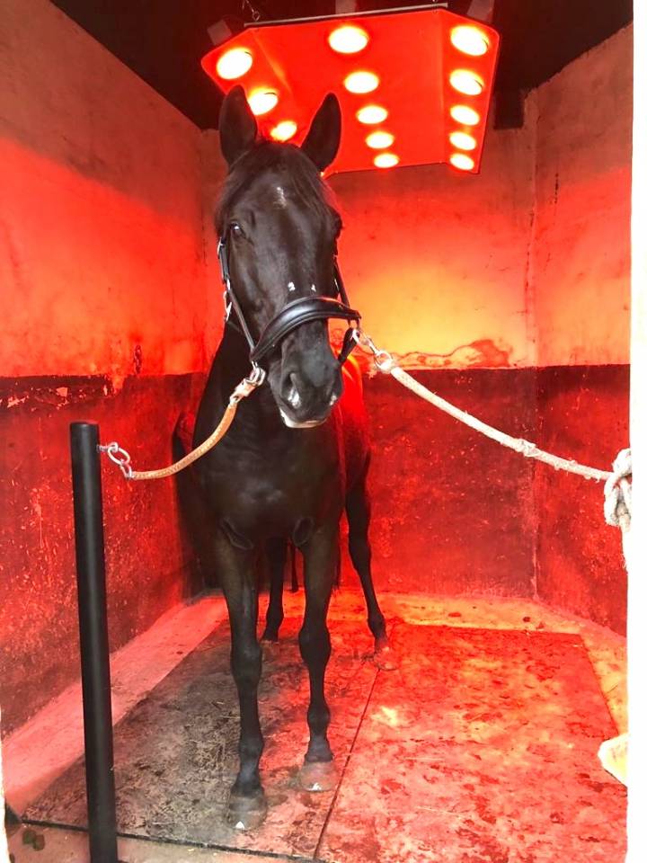 &Eacute;curie de propri&eacute;taires AVH (78)