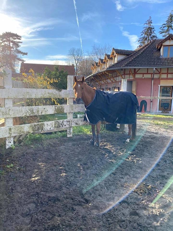 &Eacute;curie de propri&eacute;taires AVH (78)