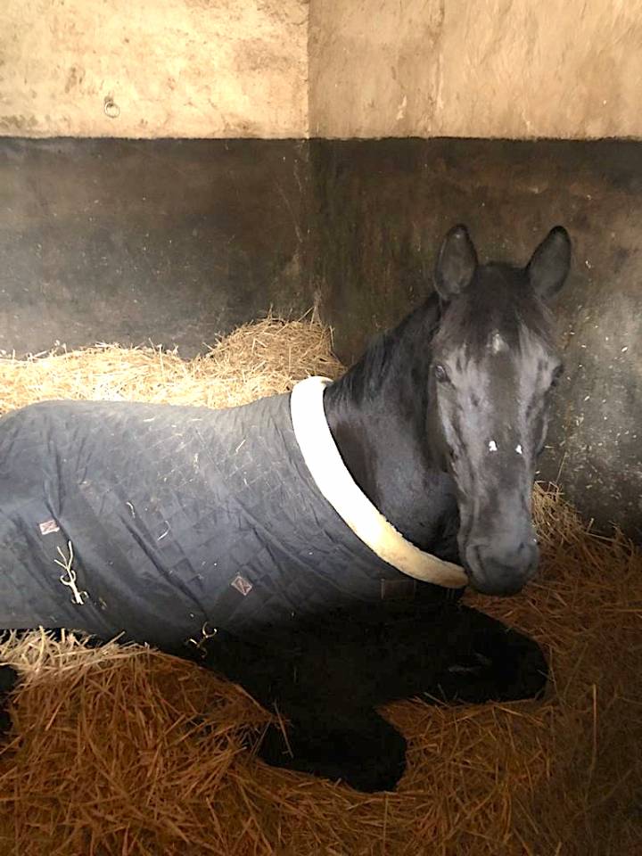 &Eacute;curie de propri&eacute;taires AVH (78)