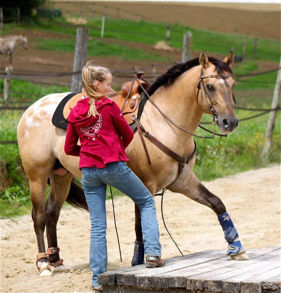 Bogieplated Jac Etalon Appaloosa Reining