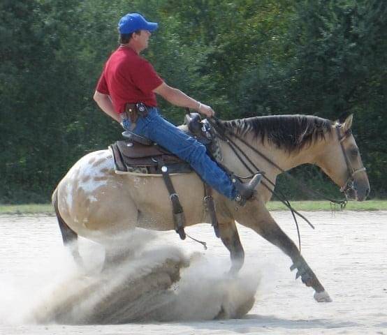 Bogieplated Jac Etalon Appaloosa Reining