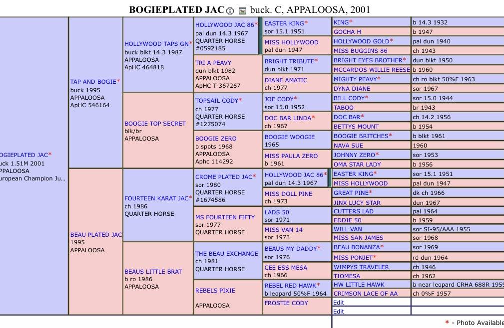 Bogieplated Jac Etalon Appaloosa Reining