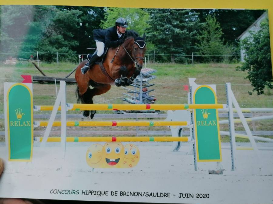 Pension dans Ecurie de Propriétaires 