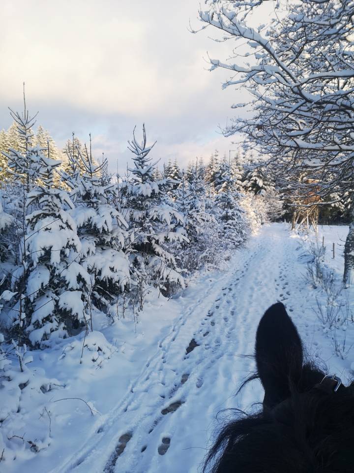 Vacance avec votre cheval... 