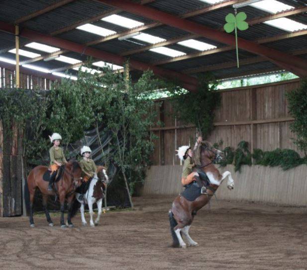 Apprentissage : Animateur d'équitation
