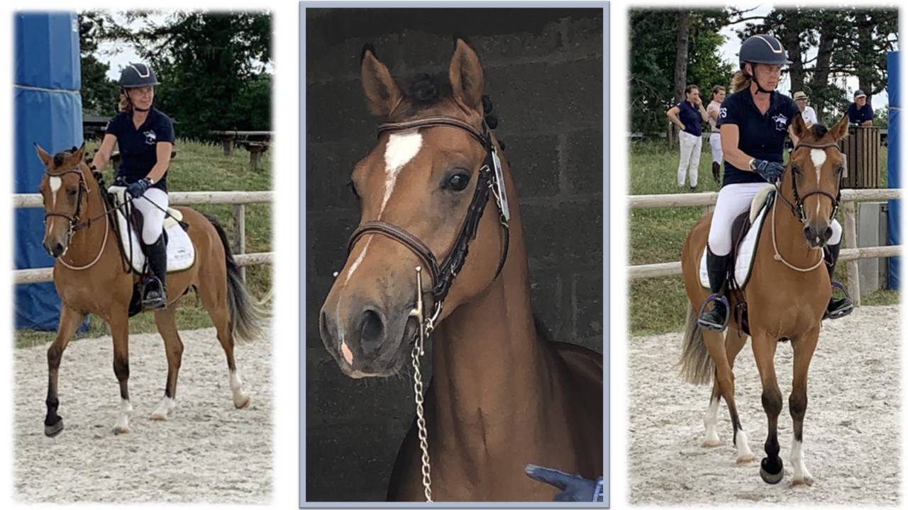 VALORISATION * DEPOT VENTE