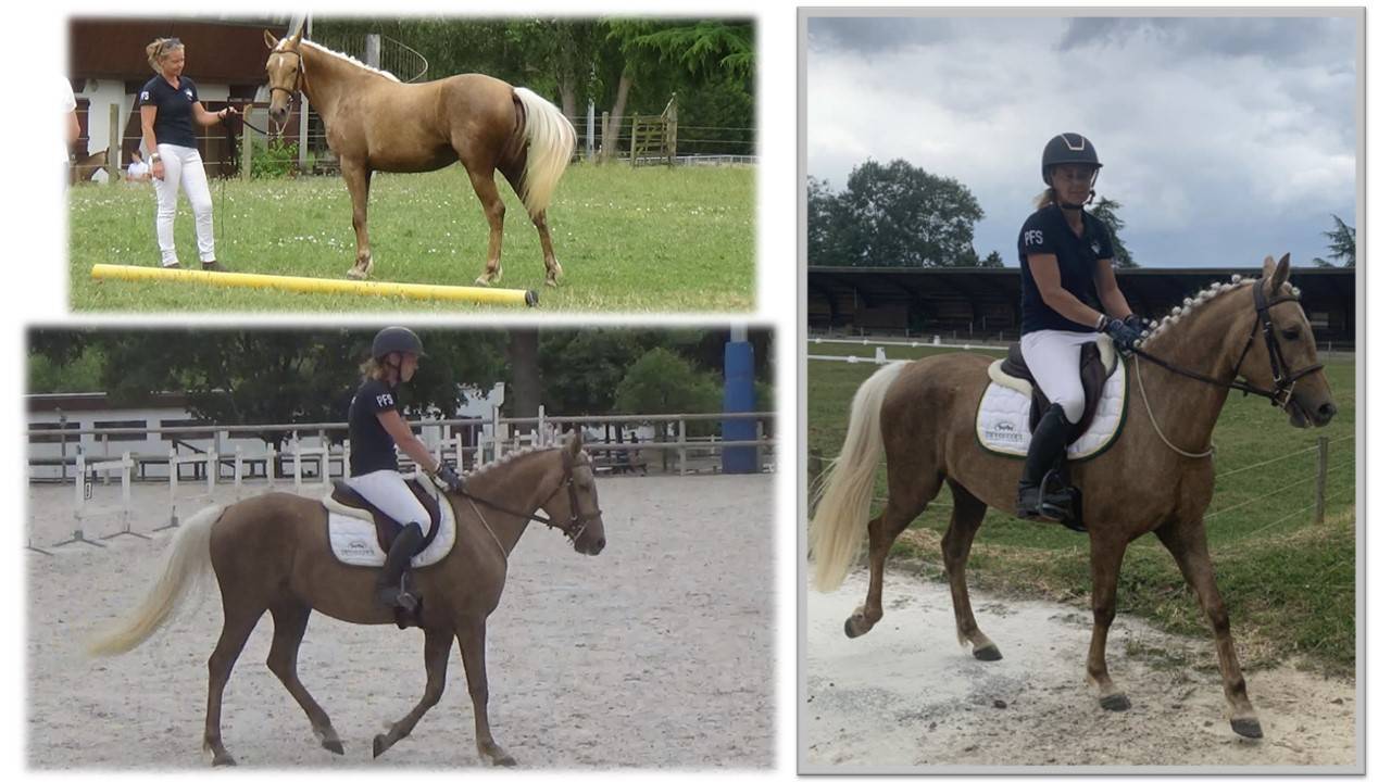 VALORISATION * DEPOT VENTE