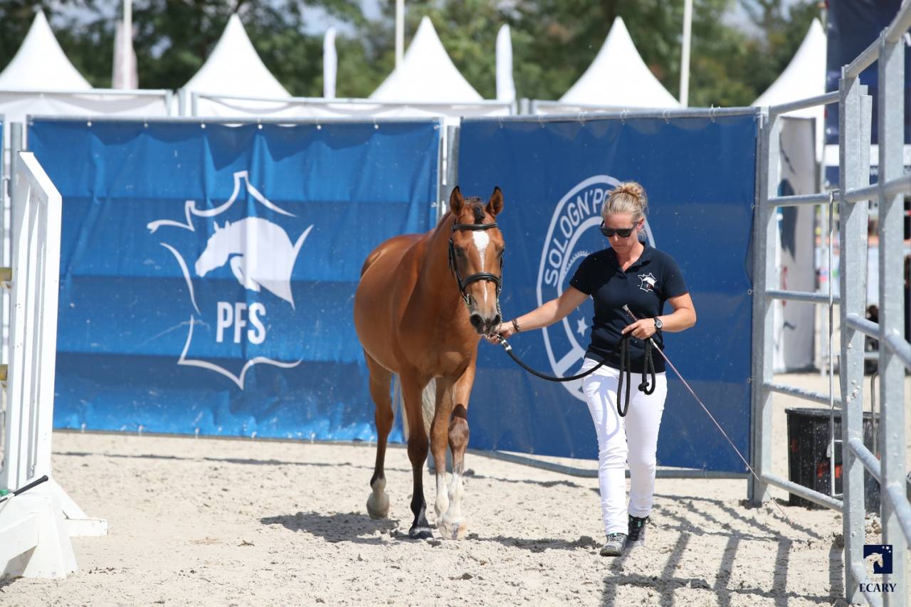 VALORISATION * DEPOT VENTE