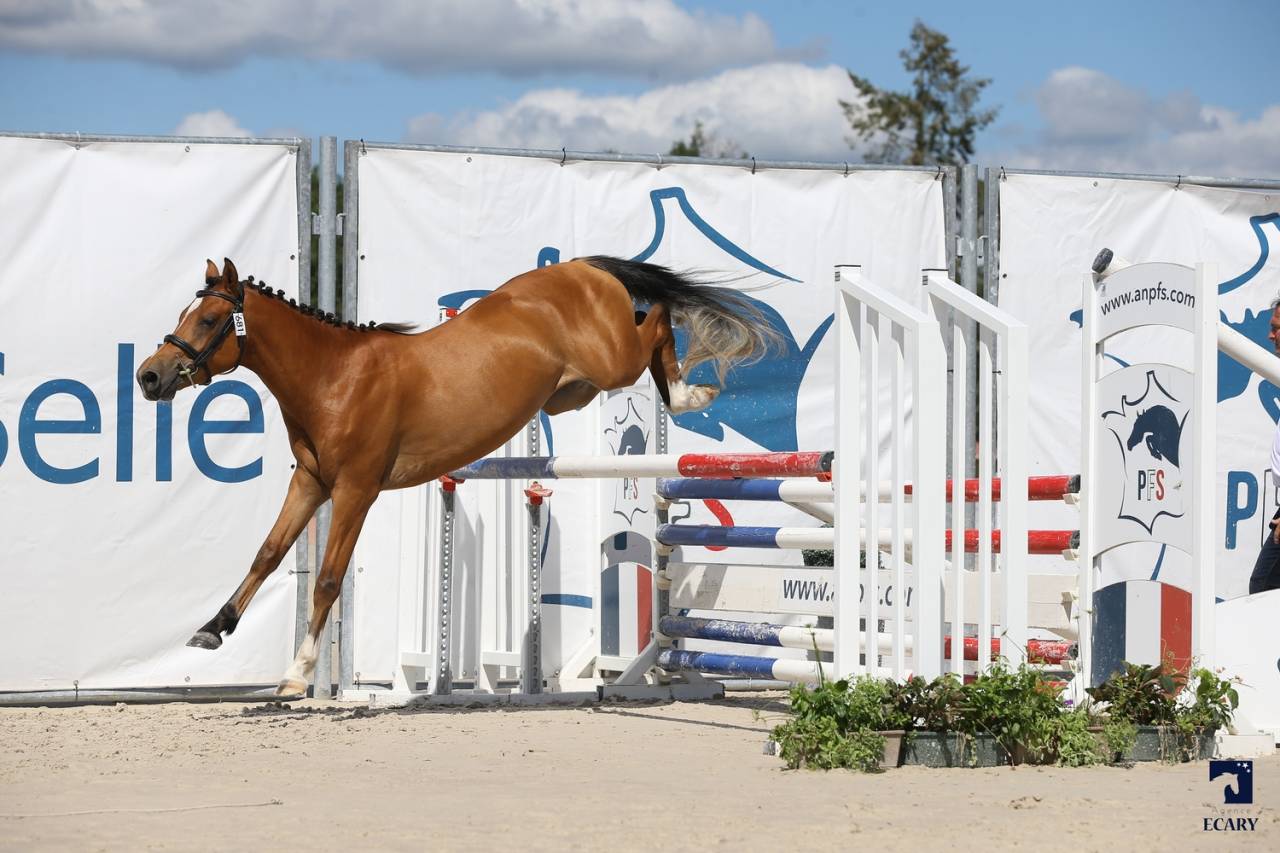 VALORISATION * DEPOT VENTE