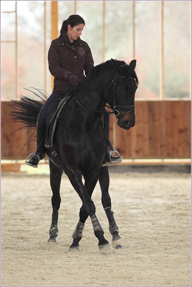 ECURIE DE PROPRIETAIRES