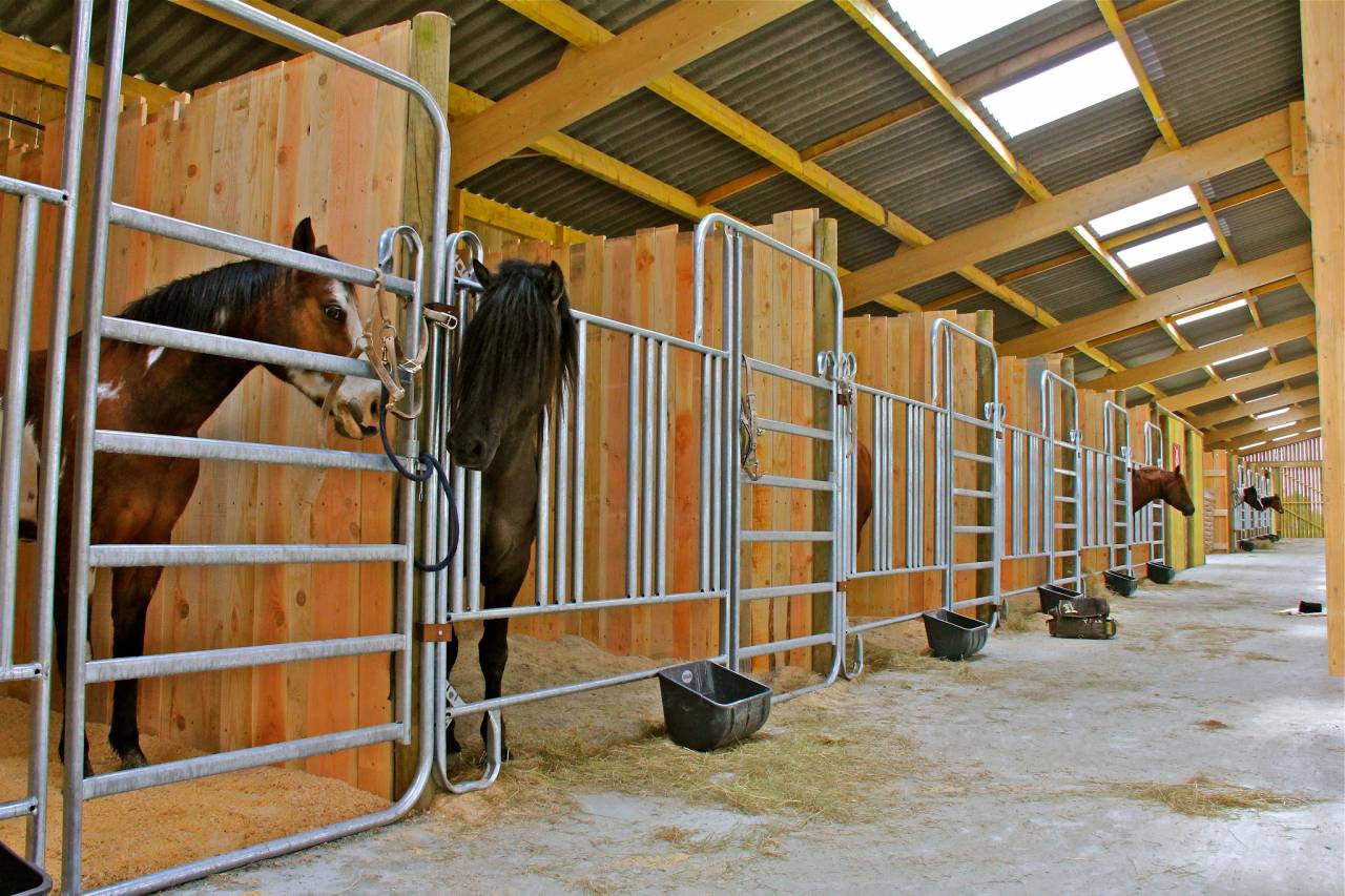 Pensions toutes disciplines - Thomas Ranch