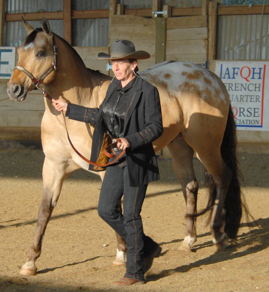 CB BOGIES LOVELY HEART Pouliche Appaloosa Red Dun 2021