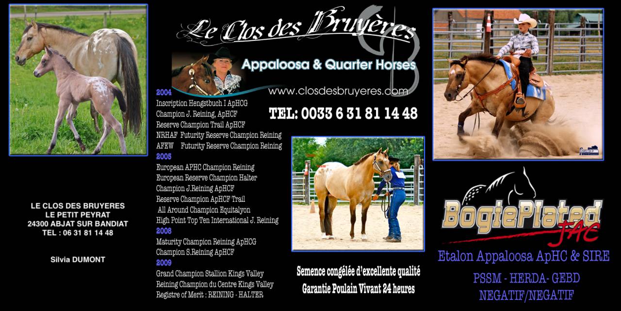 CB BOGIES LOVELY HEART Pouliche Appaloosa Red Dun 2021