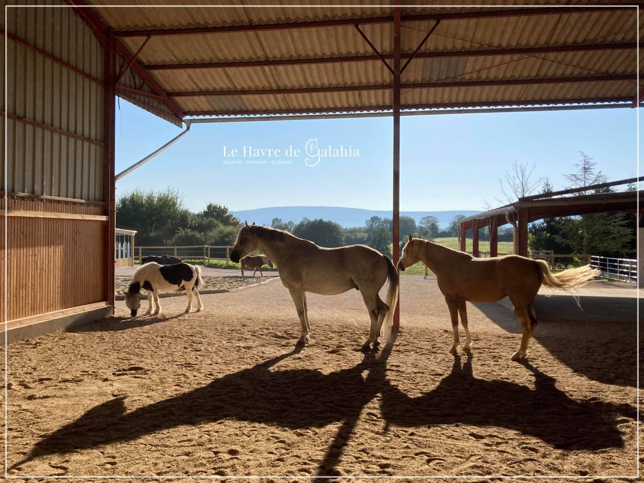 &Eacute;curie active / alternative dans l'Ain