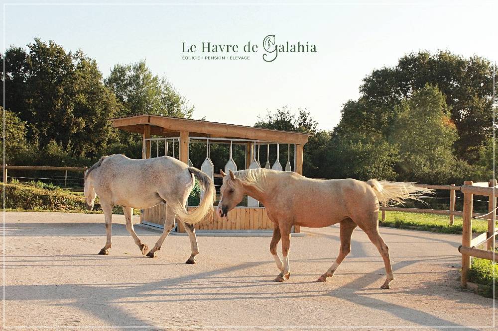 &Eacute;curie active / alternative dans l'Ain