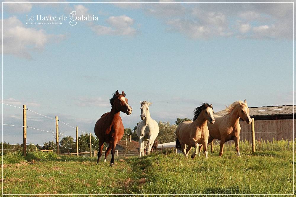 &Eacute;curie active / alternative dans l'Ain