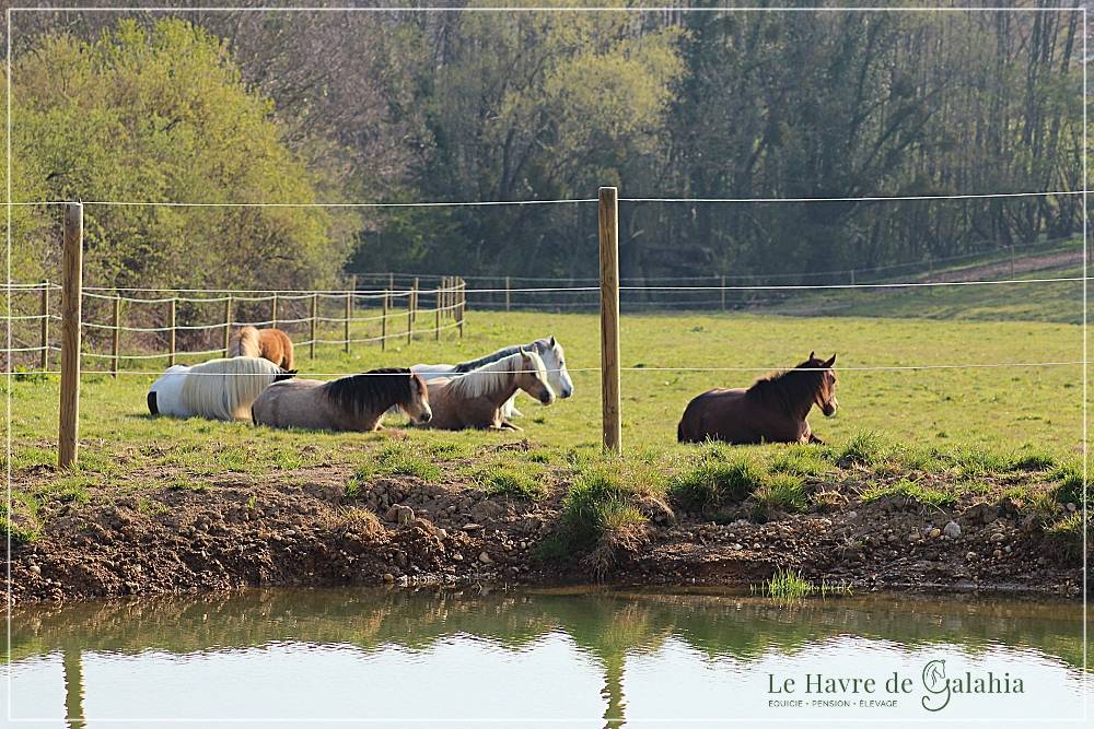 &Eacute;curie active / alternative dans l'Ain