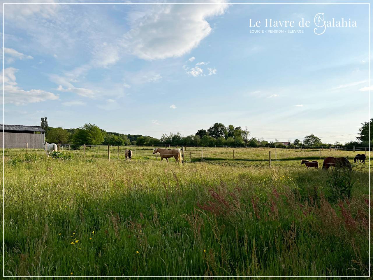&Eacute;curie active / alternative dans l'Ain