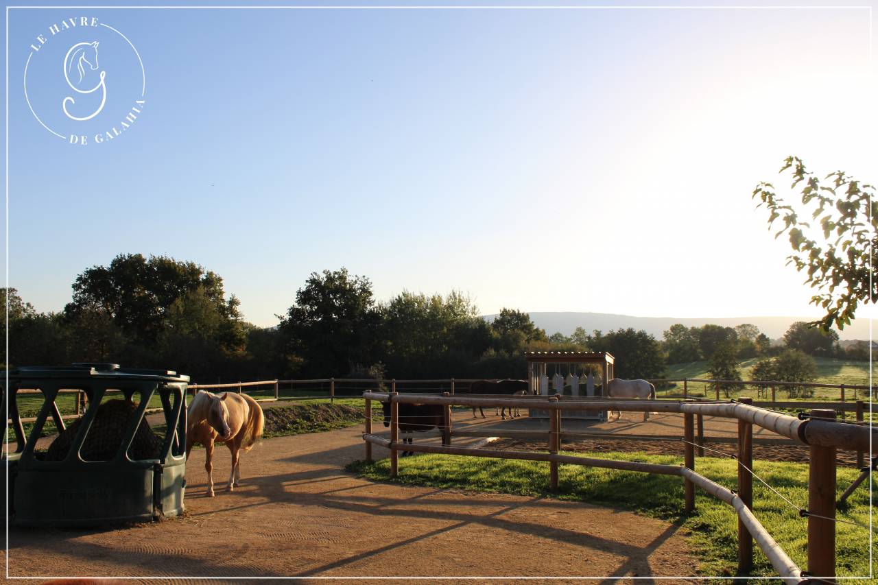 &Eacute;curie active / alternative dans l'Ain