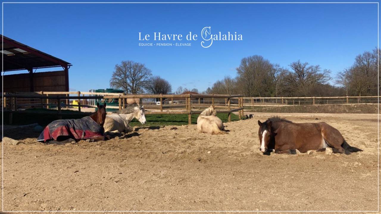 &Eacute;curie active / alternative dans l'Ain