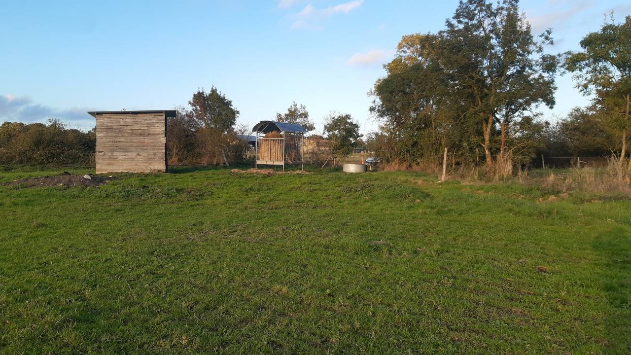 Comment un cheval r&ecirc;ve sa retraite