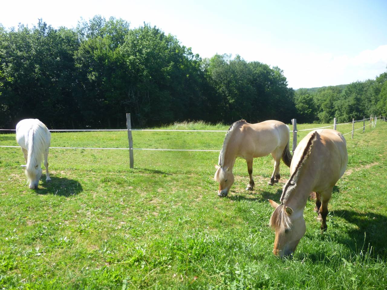 maison de vacances 4*,piscine , pr&eacute;s abris et carri&egrave;re 